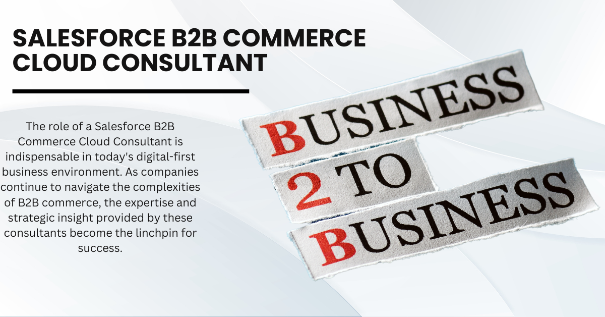 Salesforce B2B Commerce Cloud Consultan