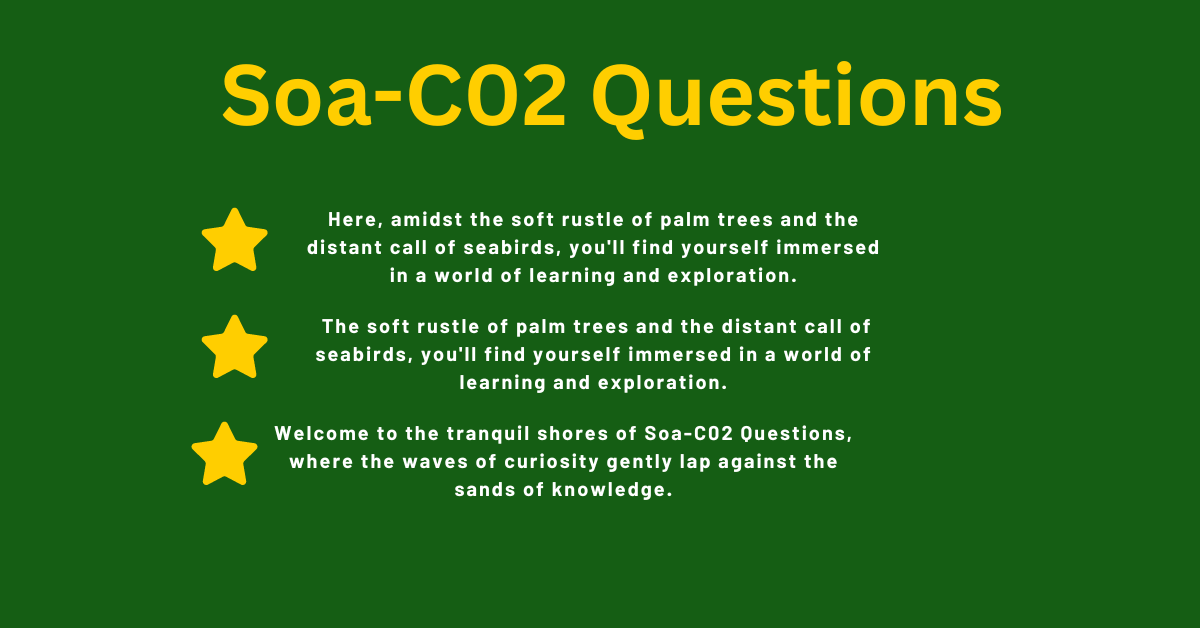 SOA-C02 Questions