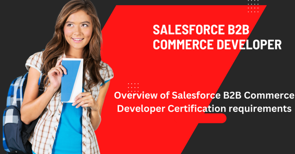 salesforce b2b commerce developer
